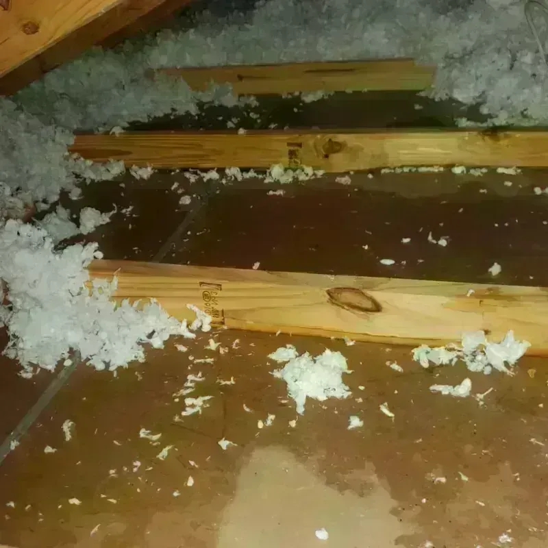 Attic Water Damage in Princeton, NC