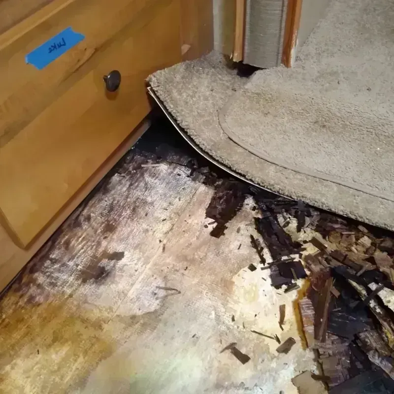 Best Wood Floor Water Damage Service in Princeton, NC